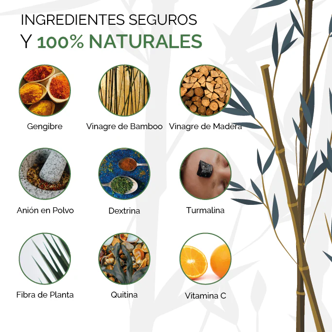 Parche DETOX KINOKI 10 Parches