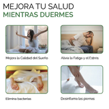 Parche DETOX KINOKI 10 Parches