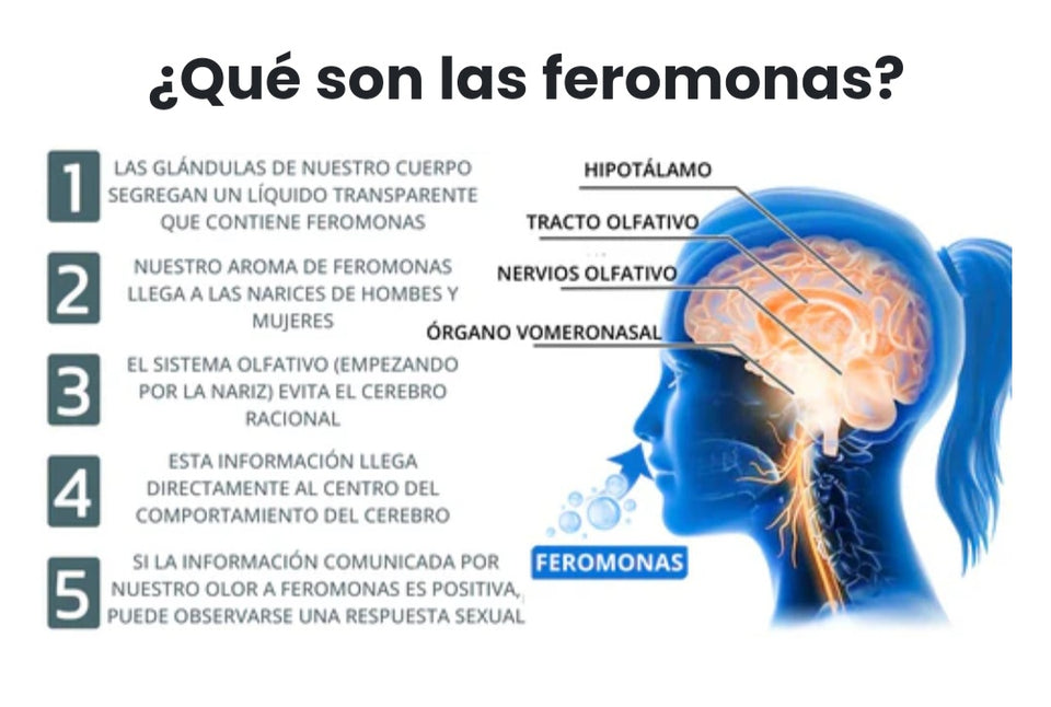 🔥 LibidHot con Feromonas: ¡Despierta la Pasión! 💖