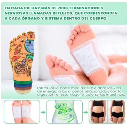 Parche DETOX KINOKI 10 Parches